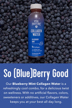 Load image into Gallery viewer, Vital Collagen Water™ - Blueberry Mint
